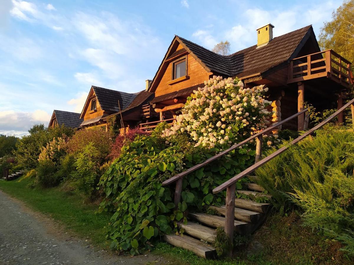 Wilcza Jama - Domki Z Bali Lutowiska Buitenkant foto