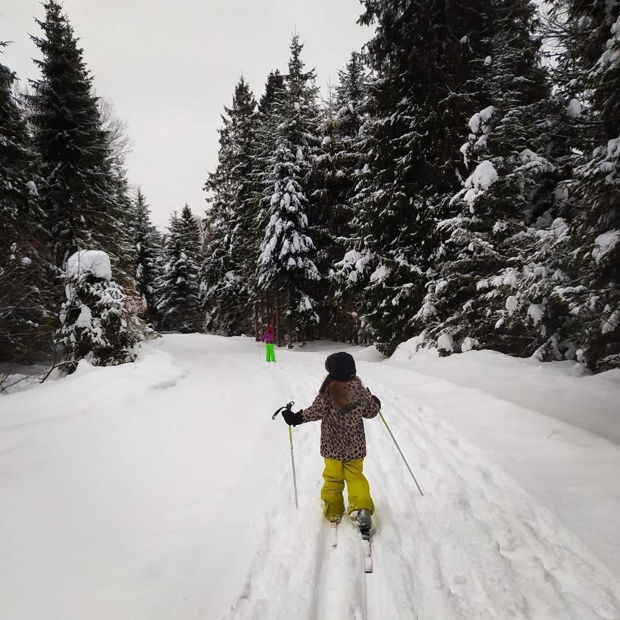 Wilcza Jama - Domki Z Bali Villa Lutowiska Buitenkant foto